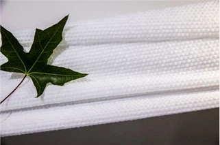 Wetlaid Pulp Mask pwodwi